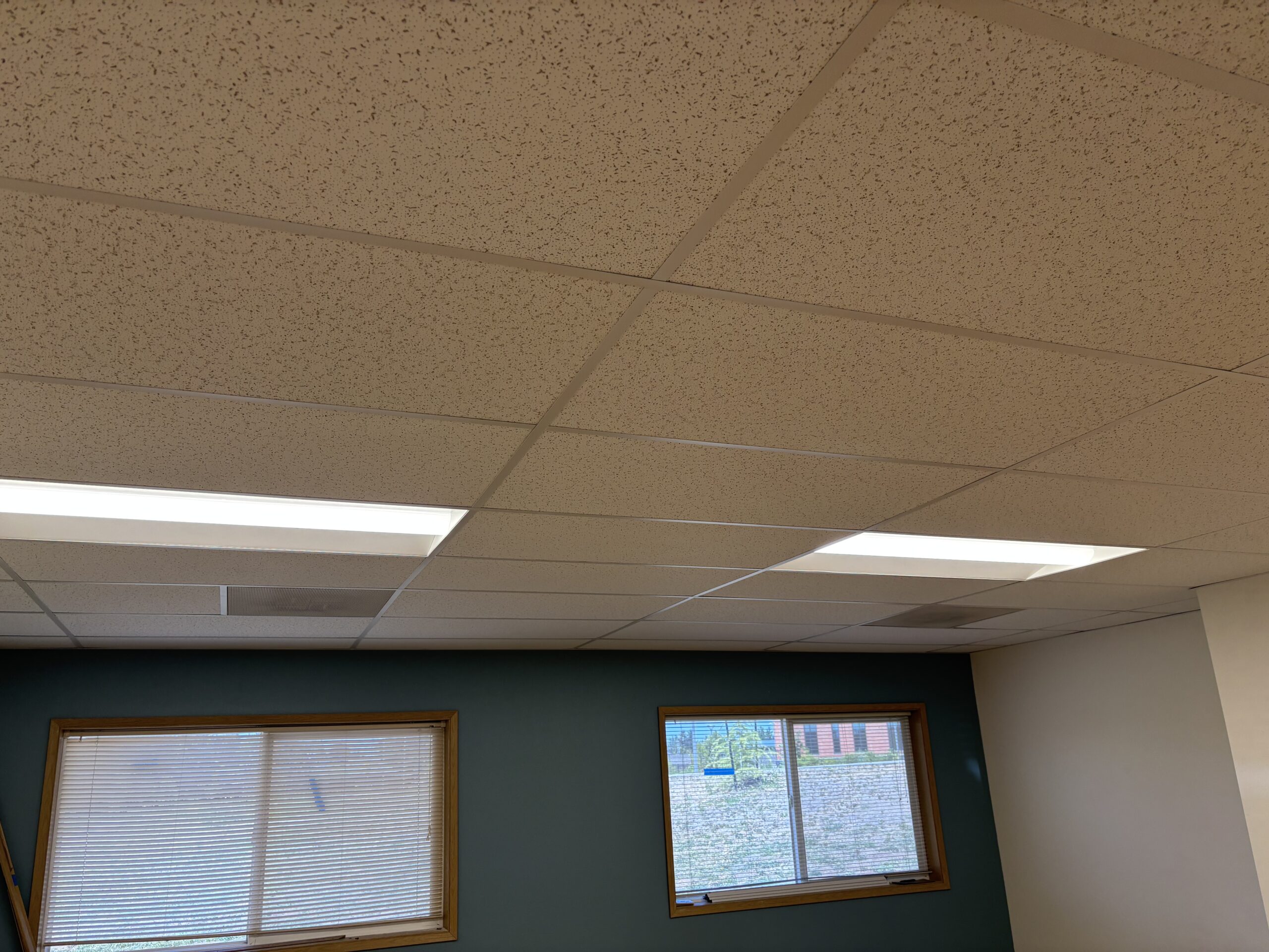 Acoustical Grid Ceiling